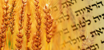 02.06_shavuot_banner