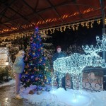 1cba99f4-0109-46f8-aad2-8eb449ba0900